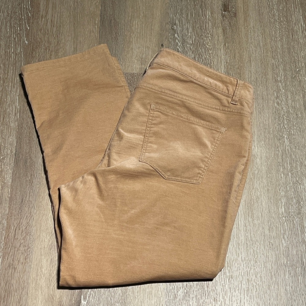 Talbots Signature Velvet Pants‎ Women's Size 16 Tan Cotton Blend Crop EUC